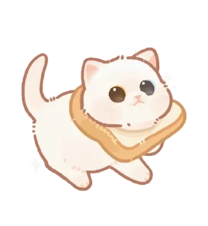 🌟