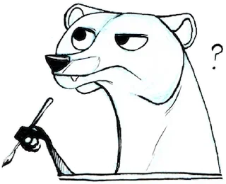 Coon Raccon @stickersb2b
