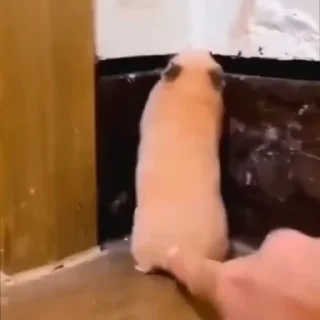 😱
