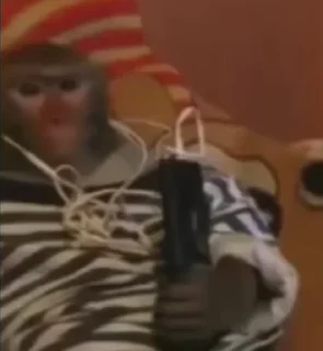 🎧