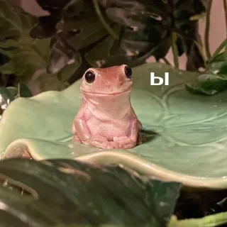 😀
