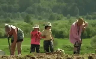 🥔