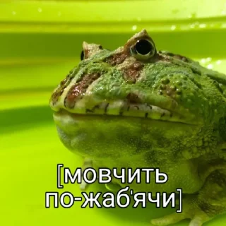 😐