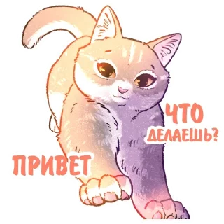 👋