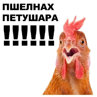 🙅‍♂️