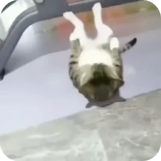 😏