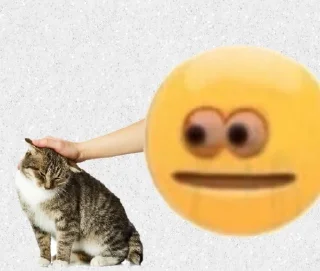 🐱