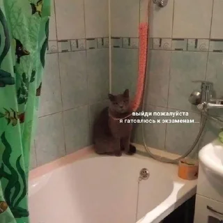 😕