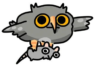 🦉