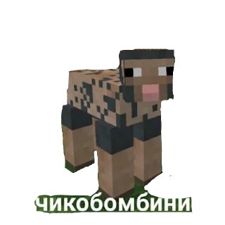 👋