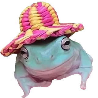 🐸