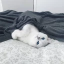 😴