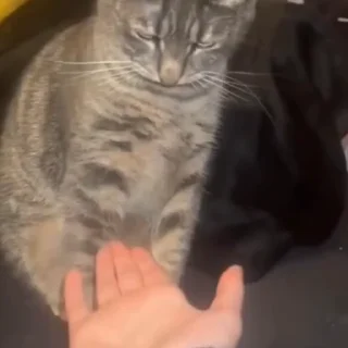 😠