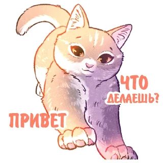 ✌️