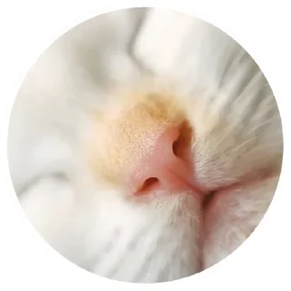 ❤