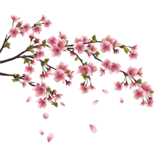 🌸