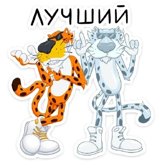 😎
