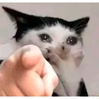 🫵
