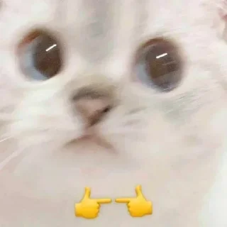 👉