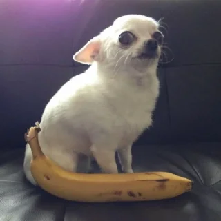 🍌