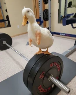 😐