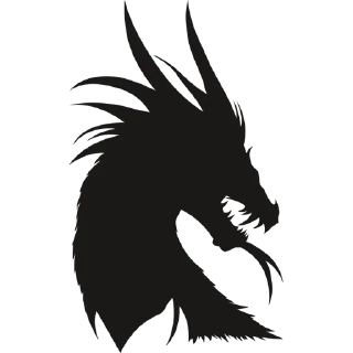 🐲