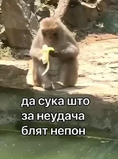😭