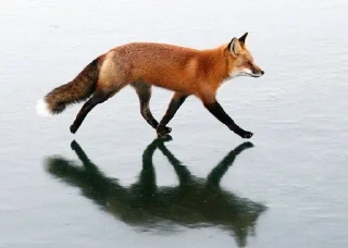 👋