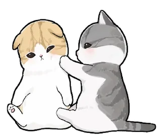 🐱