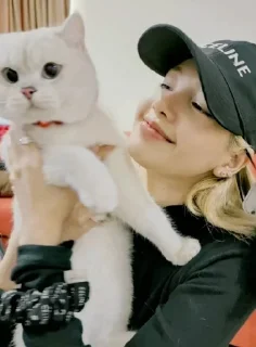 🐈