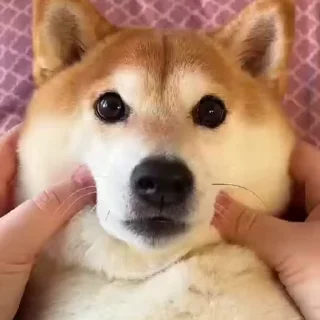 😊