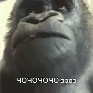 🤯