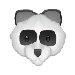 🐼