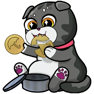 🍪