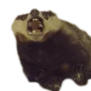 😱