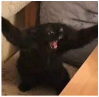 🤬