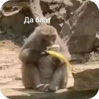 🙁