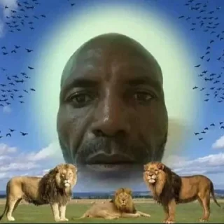 🦁