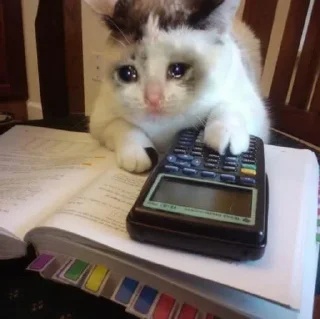 😭