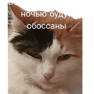😏