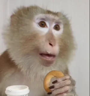😦