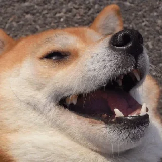 🤑