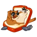 😎