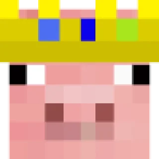 🐷
