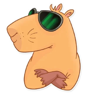 😎