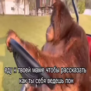 🛻