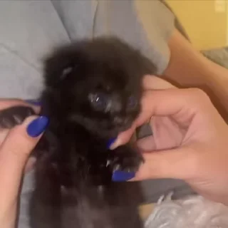 🙂‍↔️