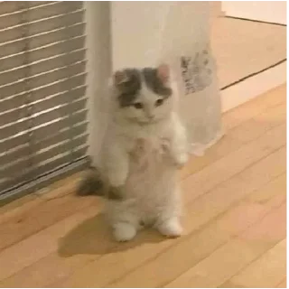 🥸