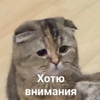 😞