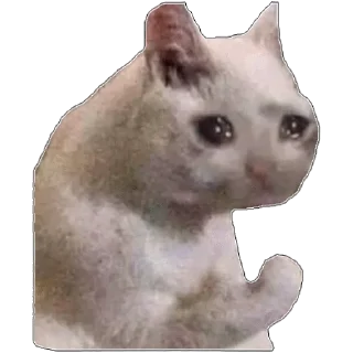 😢